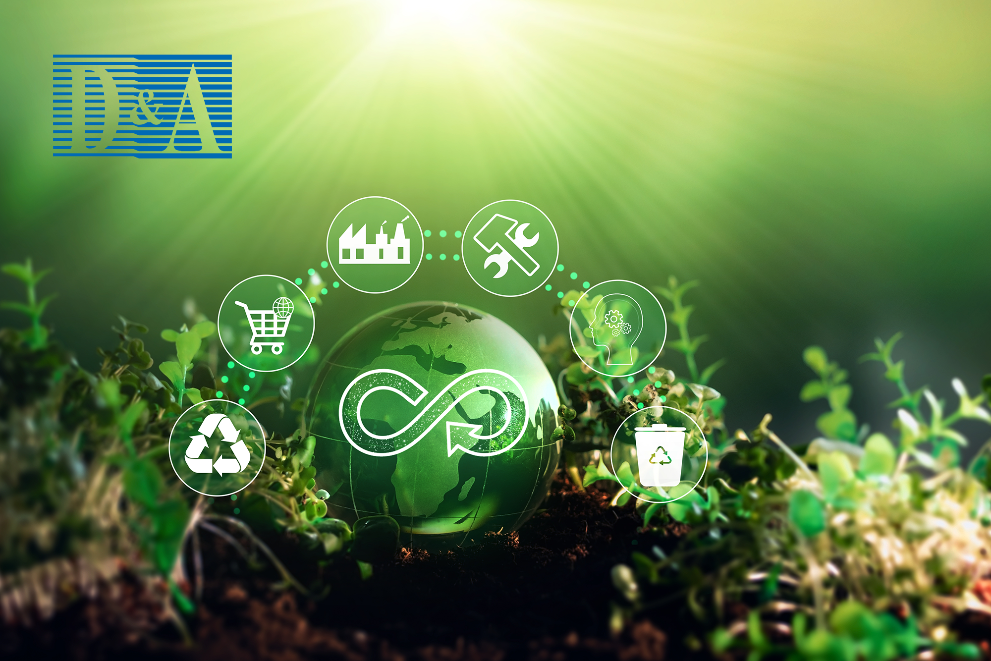 【D&A Knowledge Hub】What is the Role of Bio-based Materials in a Circular Economy?